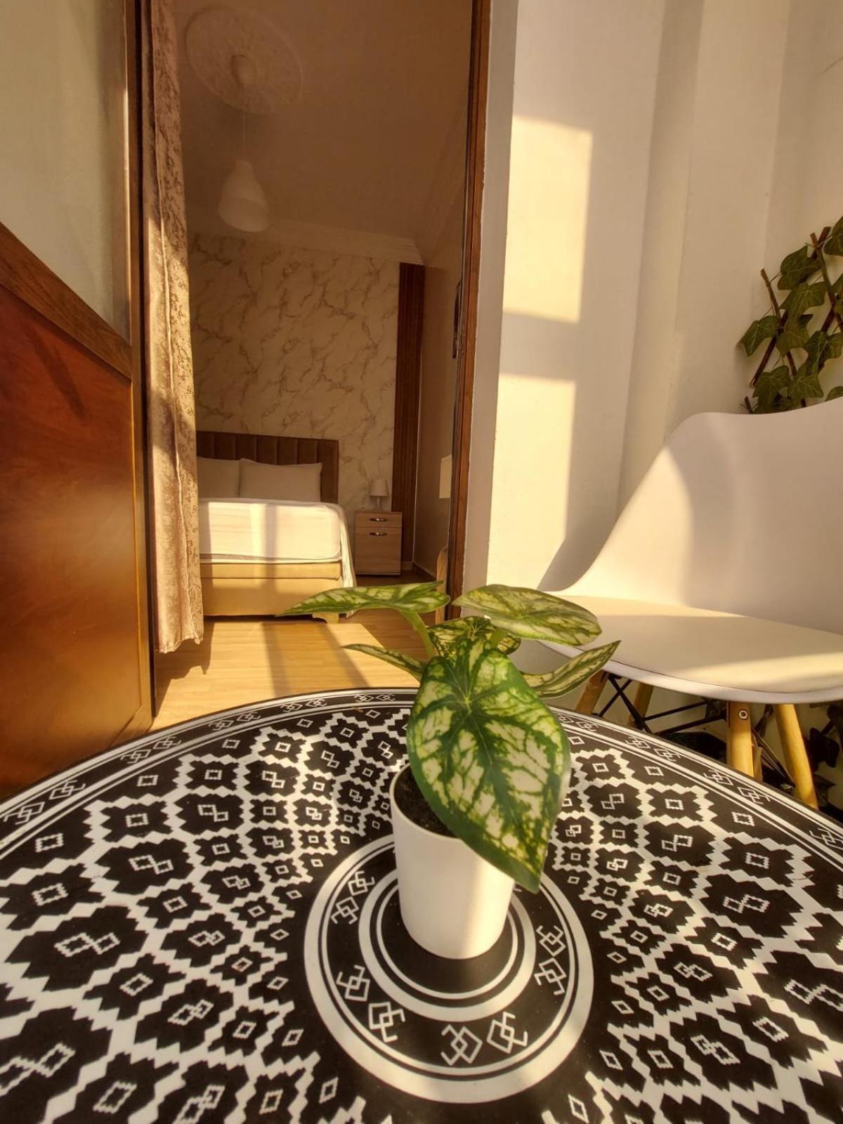 Charite Host Appartement , Wifi Et Parking Gratuit Agadir Eksteriør bilde